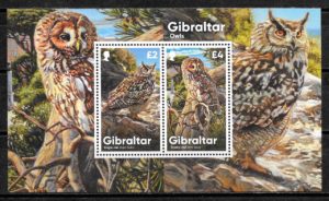 sellos fauna Gibraltar 2020