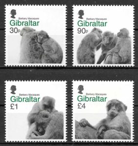 sellos fauna Gibraltar 2020