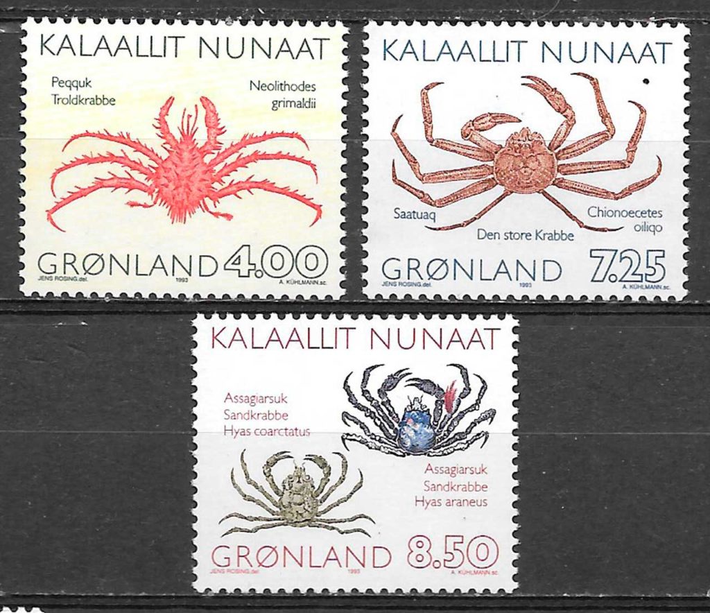 sellos fauna Groenlandia 1993