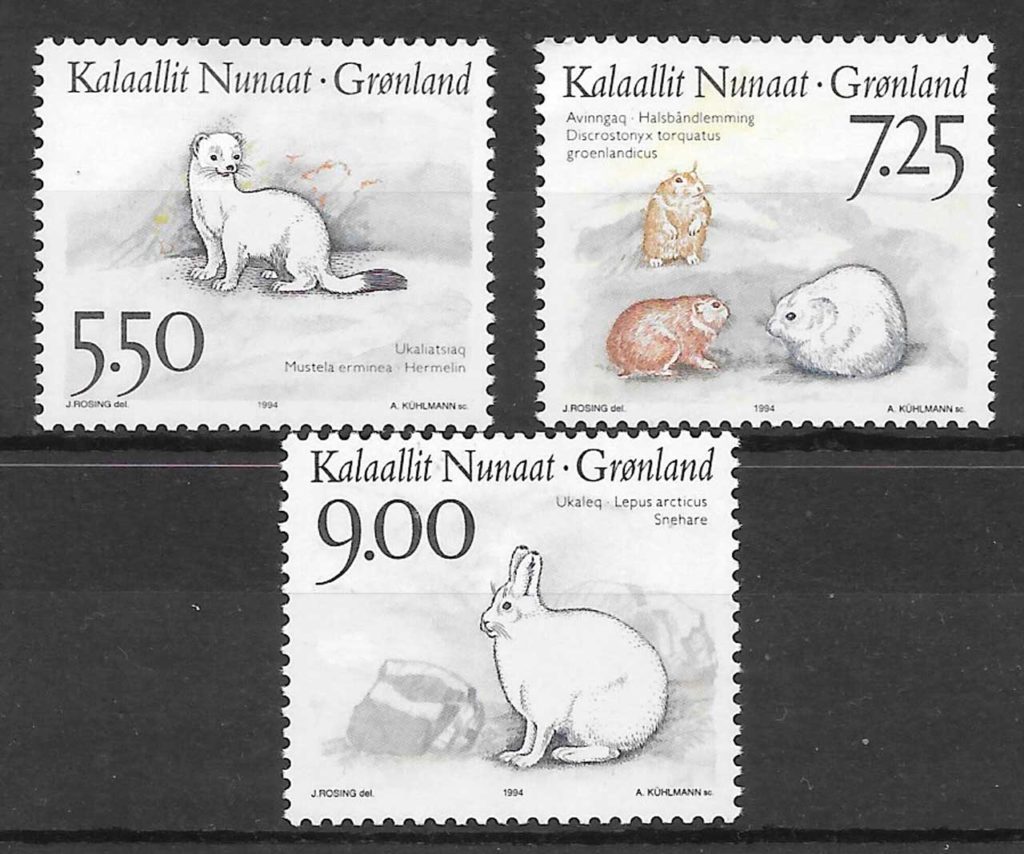 sellos fauna Groenlandia 1994