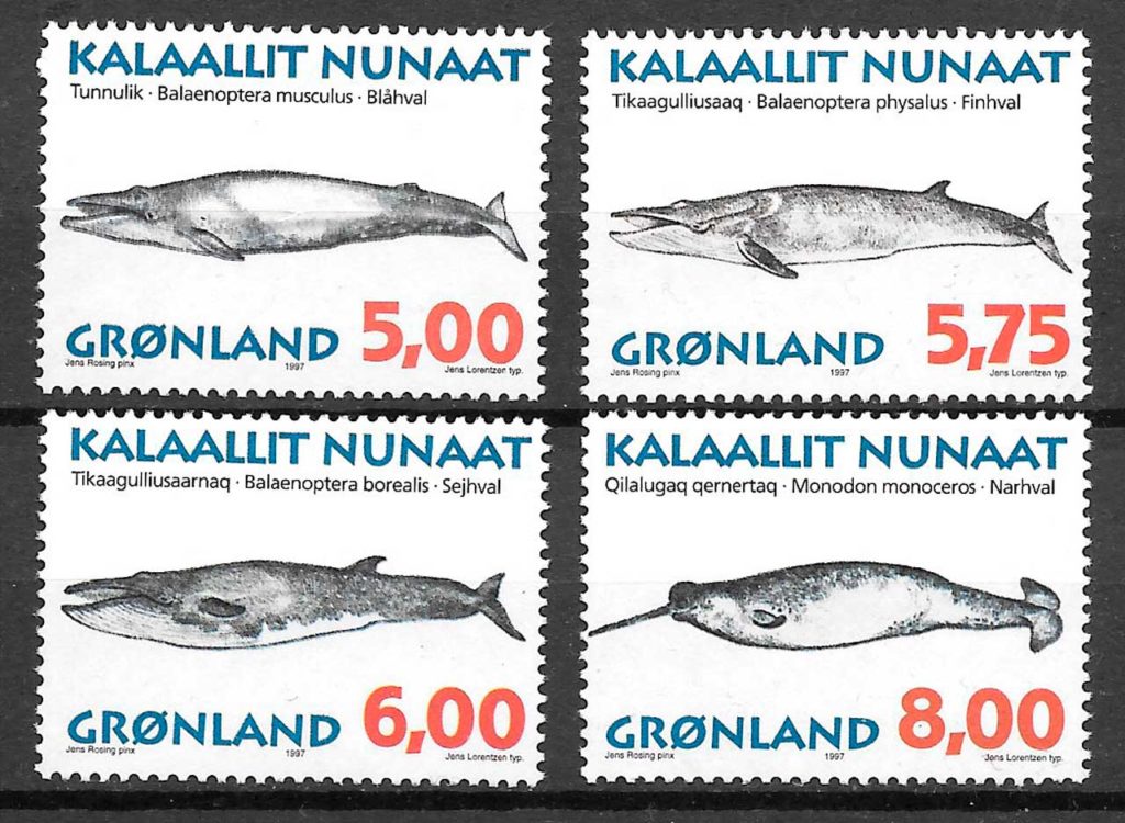 sellos fauna Groenlandia 1997