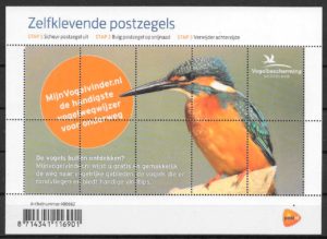 sellos fauna Holanda 2020