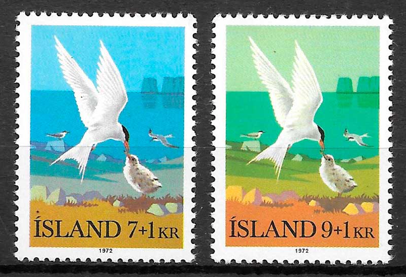 sellos fauna Islandia 1972
