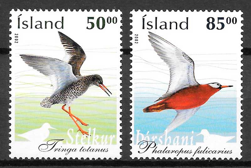 sellos fauna Islandia 2002