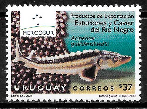 filatelia coleccion fauna Uruguay 2009