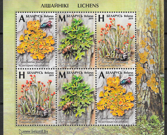 filatelia colección flora Bielorrusia 2019