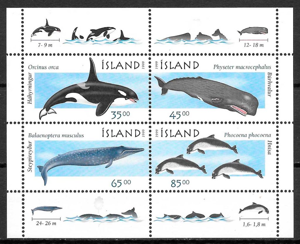 coleccion sellos transporte Islandia 1999