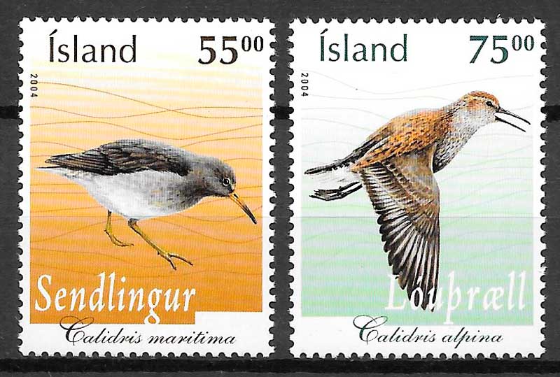 sellos fauna Islandia 2004